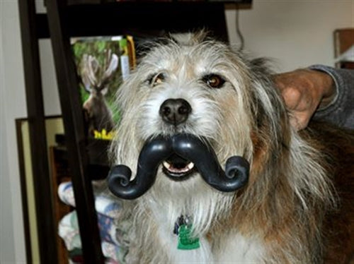 Winey Bitches Co Humunga Stache