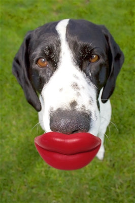 Winey Bitches Co Humunga Lips