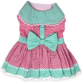 Polka Dot and Lace Dog Dress Set with Leash - Pink and Teal - Winey Bitches - Wine- Women- K9's