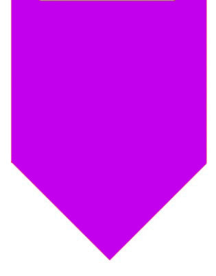 Winey Bitches Co Whiskey Drinking Buddy Doggie Bandana