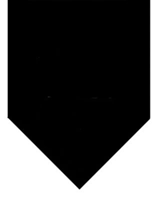 Winey Bitches Co I Was Born A Bitch-What's Your Excuse? Doggie Bandana