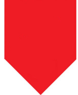 Winey Bitches Co Fluffy Not Fat Doggie Bandana