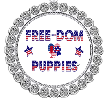 Winey Bitches Co Free-Dom Puppies Patriotic Tipsy Sip  Magnectic Wine Charm