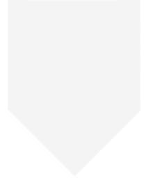 Winey Bitches Co Fluffy Not Fat Doggie Bandana