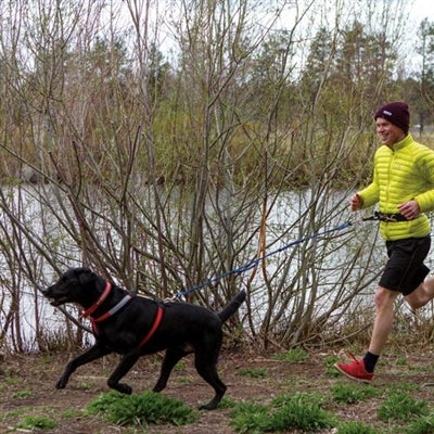 Winey Bitches Co Urban Trail® Jogger's Leash