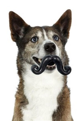 Winey Bitches Co Humunga Stache