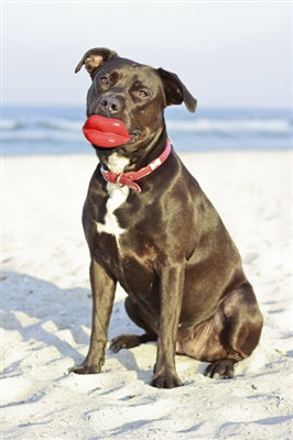 Winey Bitches Co Humunga Lips