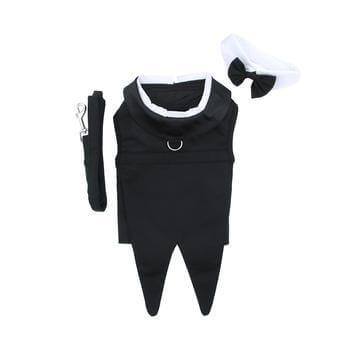Black Dog Harness Tuxedo w/Tails, Bow Tie, and Cotton Collar - Winey Bitches - Wine- Women- K9's