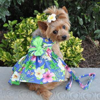 Blue Lagoon Hawaiian Hibiscus Dog Dress with Matching Leash - Winey Bitches - Wine- Women- K9's