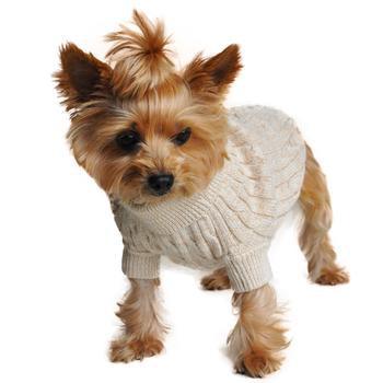 Combed Cotton Cable Knit Dog Sweater - Oatmeal - Winey Bitches - Wine- Women- K9's