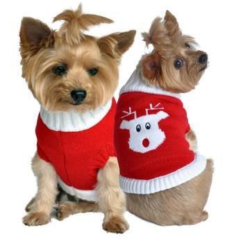 Combed Cotton Red Rudolph Holiday Dog Sweater - Winey Bitches - Wine- Women- K9's
