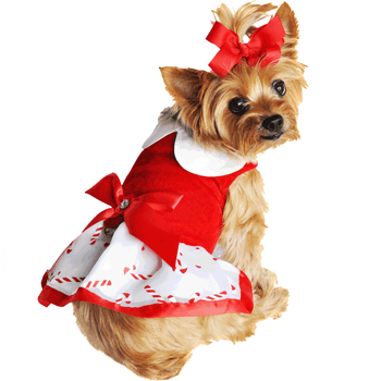 Holiday Dog Harness Dress - Candy Canes - Winey Bitches - Wine- Women- K9's