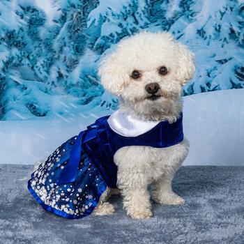 Holiday Dog Harness Dress - Snowflakes - Winey Bitches - Wine- Women- K9's