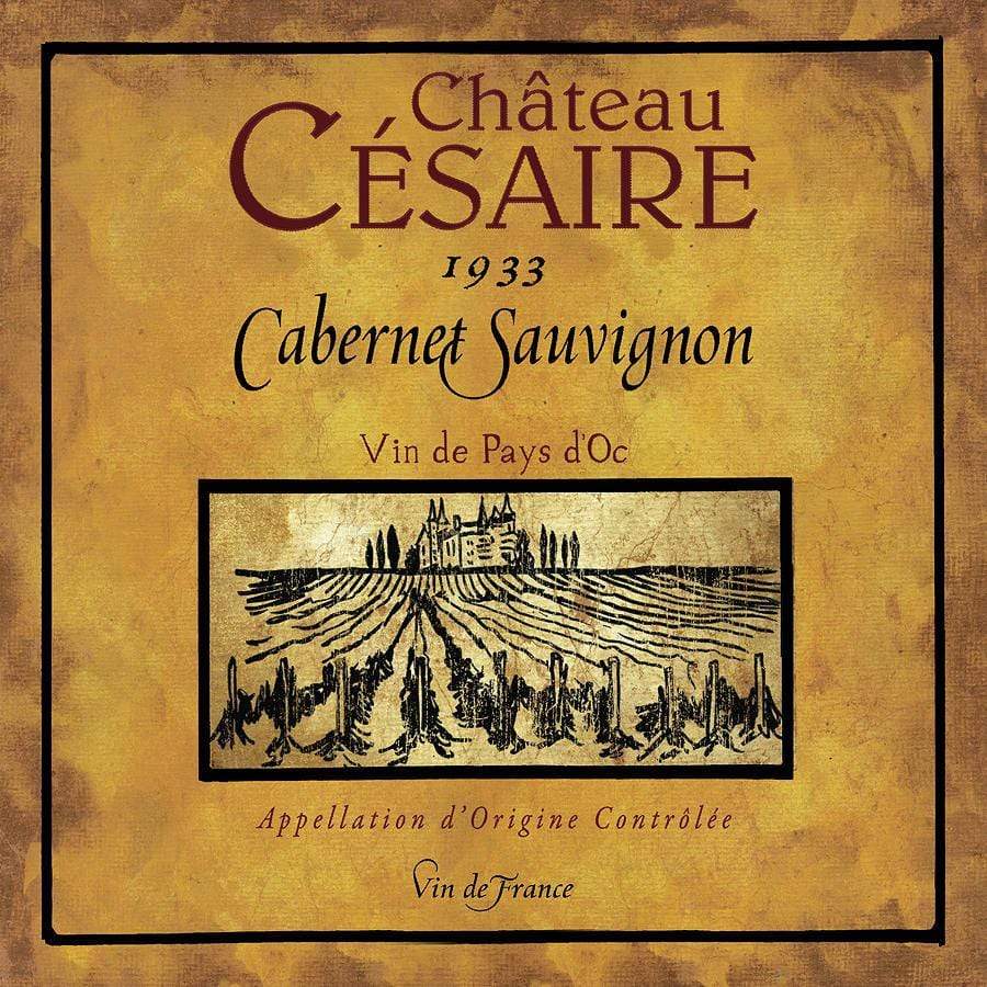 Home Decor WineyBitches.co Still Life Wine Label Square Ix Throw Pillow WineyBitchesCo