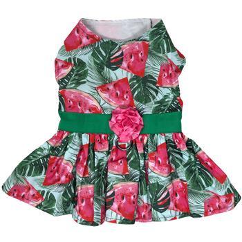 Juicy Watermelon Dog Dress with Matching Leash - Winey Bitches - Wine- Women- K9's