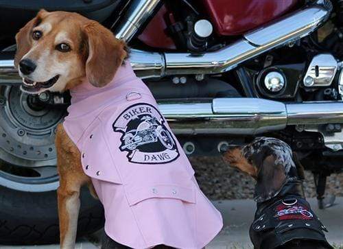 Pet Accessories Winey Bitches Biker Dawg Motorcycle Jacket - Pink WineyBitchesCo