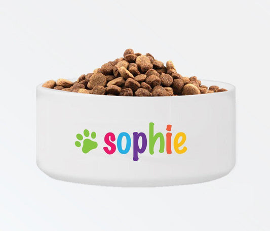 Personalized Classic Large Dog Bowl - Colorful - Winey Bitches - Wine- Women- K9's