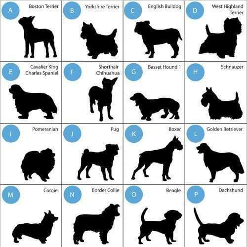 Personalized Man's Best Friend Silhouette Large Dog Bowl - Winey Bitches - Wine- Women- K9's