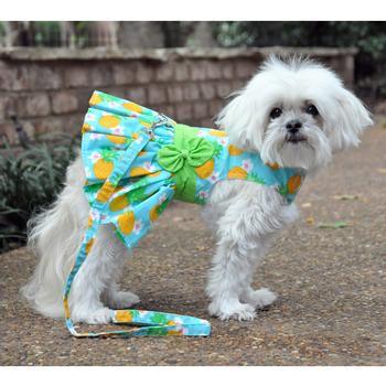 Pineapple Luau Dog Harness Dress with Matching Leash - Winey Bitches - Wine- Women- K9's